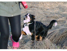 IMG 20160422 175220.jpg