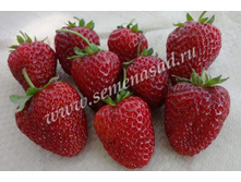 ��������� ������� ( 5��) (������������, ����� ���������, ������� ����).jpg