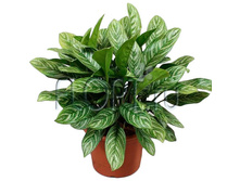 ��������� ������ 17�70. 819 ���.jpg