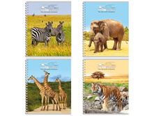 ������� 48�. �5 ������ �� ������ ����� ��� 22,73.jpg