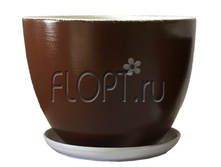 ����� �����-���������� �15 ������ ������������. 125,72 ���.jpg