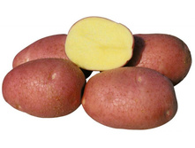 ��������� ��������� 40���. �� 1�� (���������� �� 3 ��, �� ����� � �� 1��).jpg