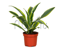 ������� ����� ���� 17�65. 508,99 ���.jpg