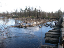 IMG 7593.jpg