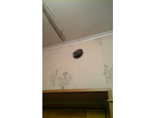 20160403 122124.jpg