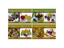 ������� 48�. �5 ������ ������� Glass and nature, ��������� 18,56.jpg