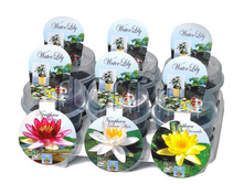 �������� ���� 12�20. 272,36 ���.jpg