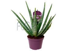 ���� ���� 12�35. 324,45 ���.jpg