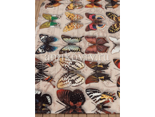 ����� House of Kids Garden 69.png