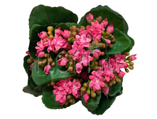 ���.����. �������� � ����������� ������ �30272. 22 ��. 652,81 ���.jpg