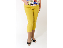 ����� �������. 1200�. 60%������, 35%��, 5%������. 42-52.jpg