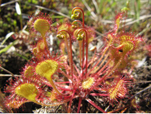 ������� 600�.jpg