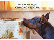 ������������)