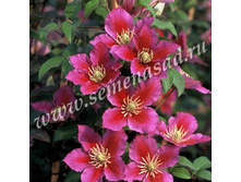 �������� ��������������� �����.jpg