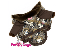 Odezhda dlya sobak 43 .png