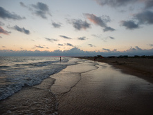 ���� ����, ���� 2015�