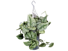 ���������� ������ ����� ��������� 14�30. 527,05 ���.jpg