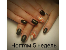 IMG 20160326 133230.jpg