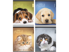 ������� 18�. ������ �������. Little friend, ���������� ��-��� 9,08.jpg