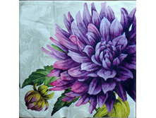 IMG 20160418 131241.jpg