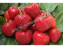 ��������� ������� ������.jpg