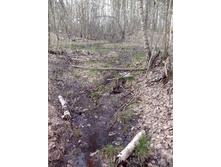 IMG 20160427 164127.jpg