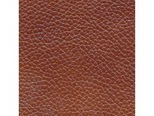 ���� 2012.jpg