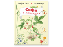 ���� � ���� ����