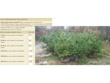 ����� ������������.jpg