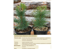 ������� ����� ����������, ����� premium 1� 200���.jpg