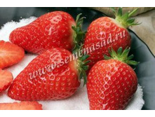 ��������� ������� �����.jpg