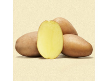 ��������� �������� 40���. �� 1�� (���������� �� 3 ��, �� ����� � �� 1��).jpg