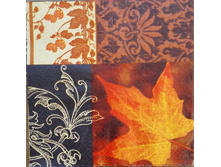 IMG 20160418 141027.jpg