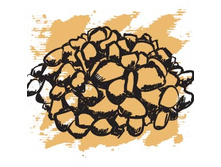 592 ���.������� ����� �����