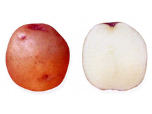 ��������� ��������� 40���. �� 1�� (���������� �� 3 ��, �� ����� � �� 1��).jpg