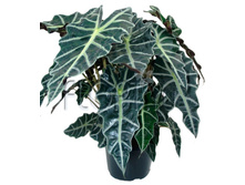 �������� ����� 17�50. 397,02 ���.jpg