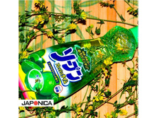 Japonica (������) �����