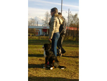 IMG 20160424 171826.jpg