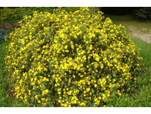 �������� ������������� ���������� (V1.5-2�) (������ ������,������ 1 �).jpg