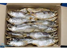 ����� �������.jpg