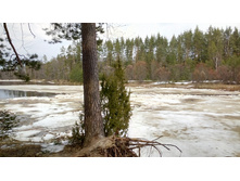 IMG 20160410 133640.jpg