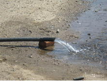 5706b3db1c3bf 1502025532.jpg