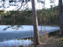 IMG 7613.jpg
