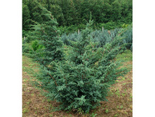 ������������ ��������� ��� ����� (�9).jpg