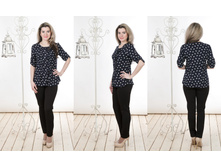 IMG 0537 56e2d8040cdc5.jpg