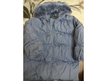 ������ ERMANO SHERVINO Junior, �� ������ ����-�������� �����, �-� 8, ���� 350 ���