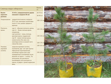 ������� ����� ���������� 80-90�� �����-2 200���, ���� � 2 800���.jpg