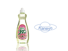 �������� ��� ����� ������ ������ � ������� Kaneyo ��������� 600 ��