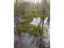 IMG 20160427 164337.jpg