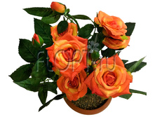 ���.����. �������, � ������, ��������� �22804�. 30 ��. 794,24 ���.jpg